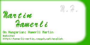 martin hamerli business card